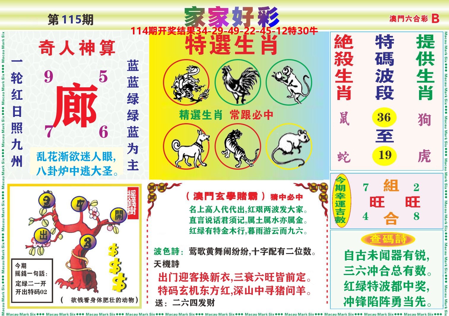 家家好彩B 第115期