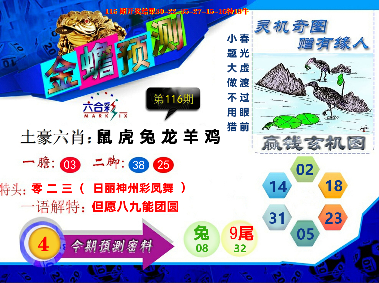 金蟾预测 第116期