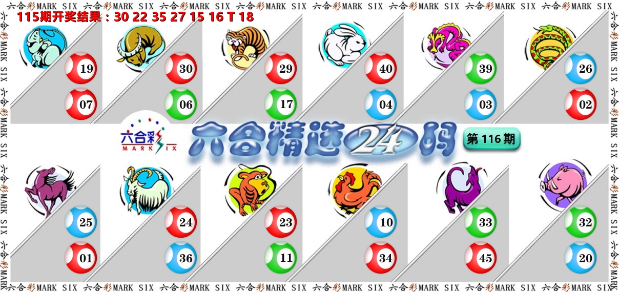六合精选24码 第116期