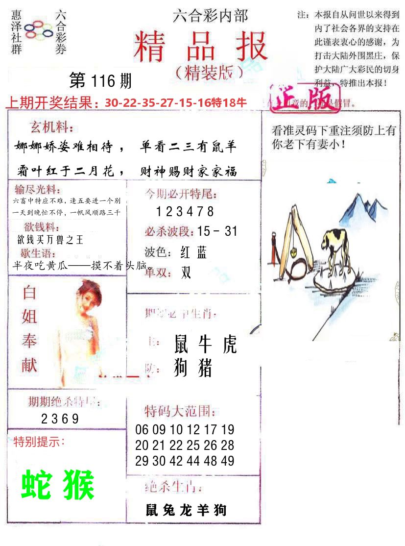 精品报 第116期