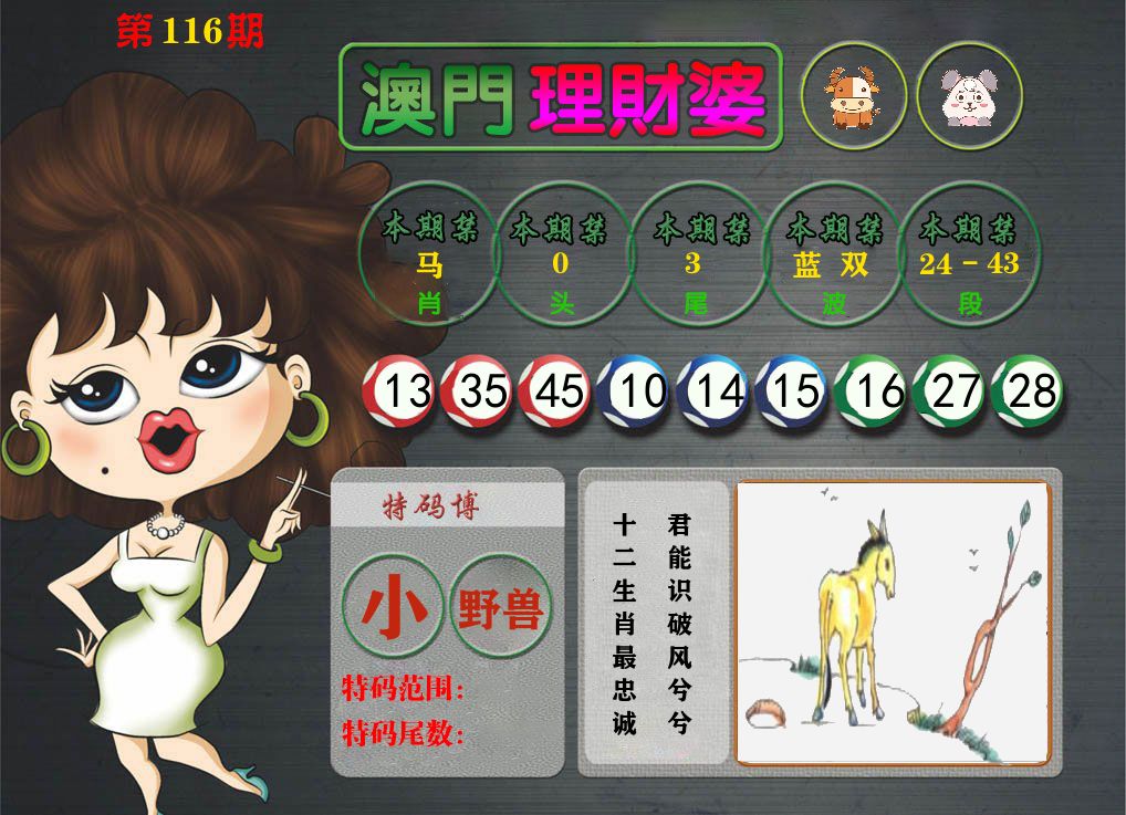理财婆 第116期
