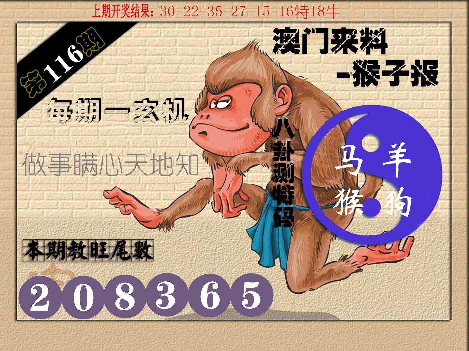 猴子报 第116期