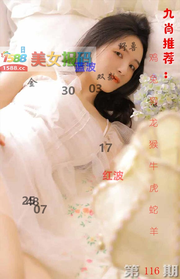美女报码 第116期