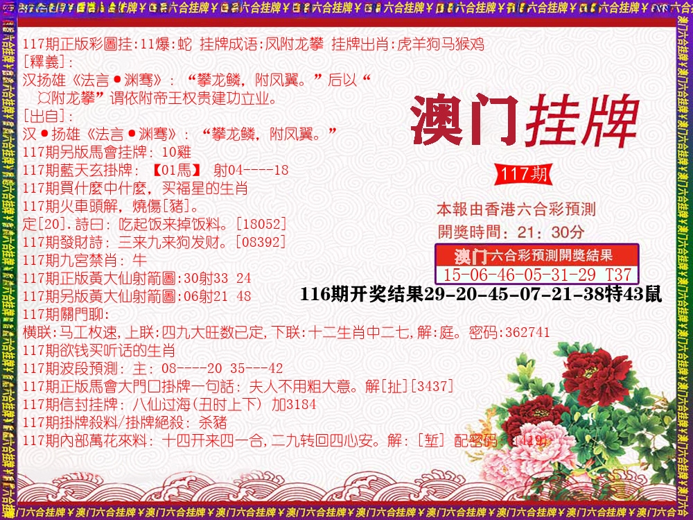 澳门挂牌 第117期