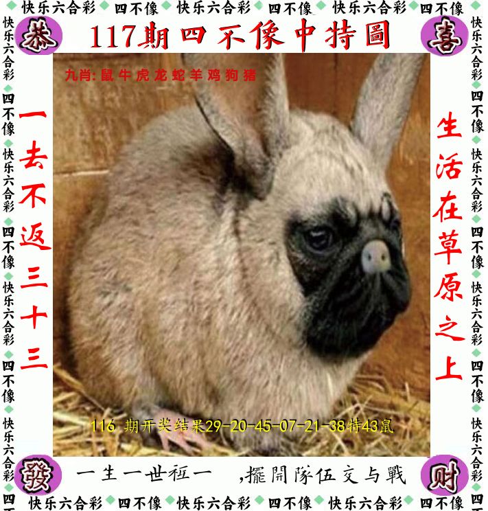 四不像 第117期