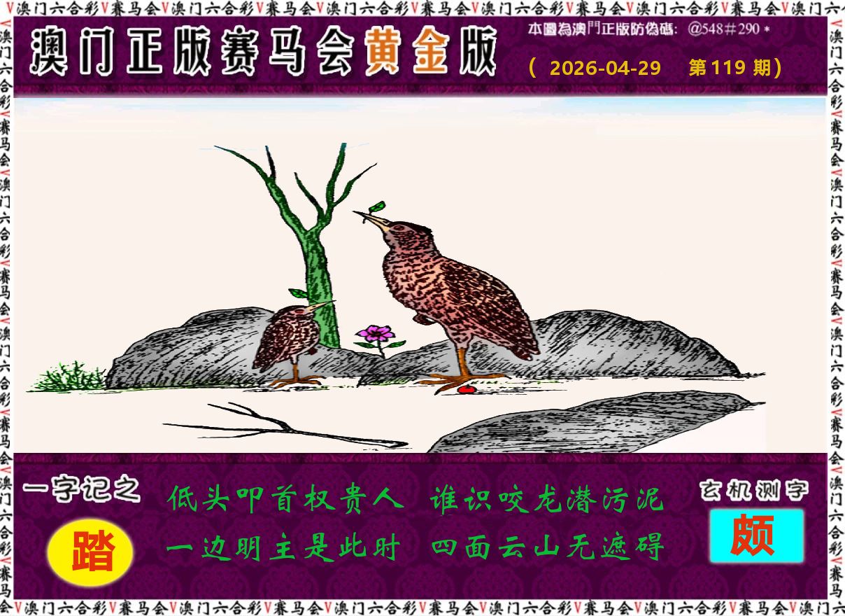 赛马会黄金版 第119期