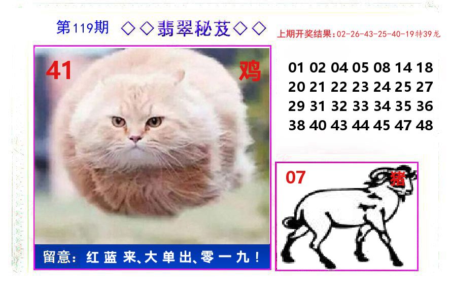 翡翠秘芨 第119期