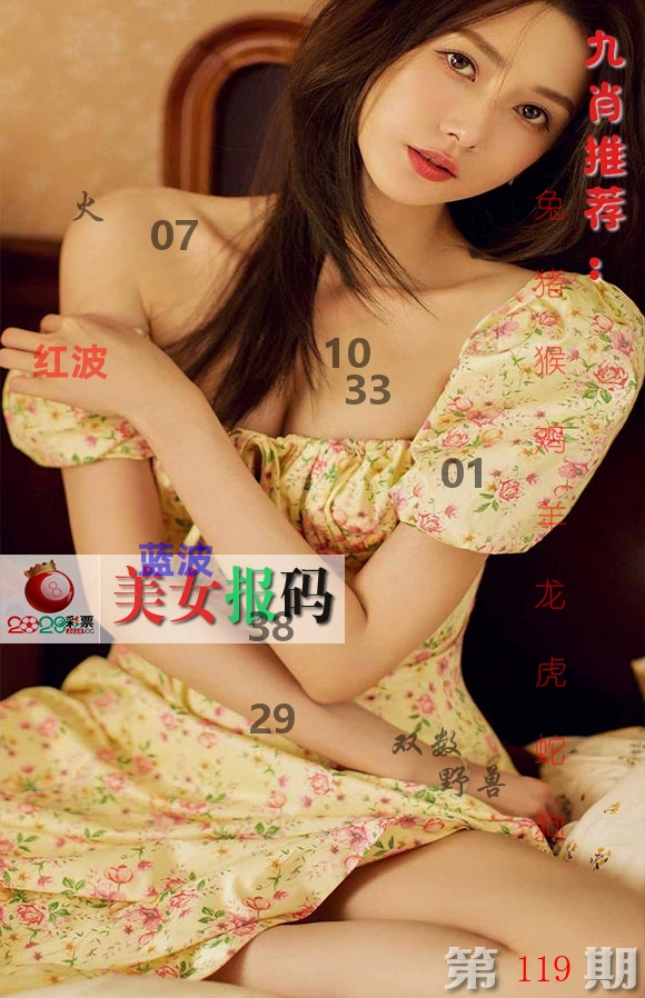 美女报码 第119期