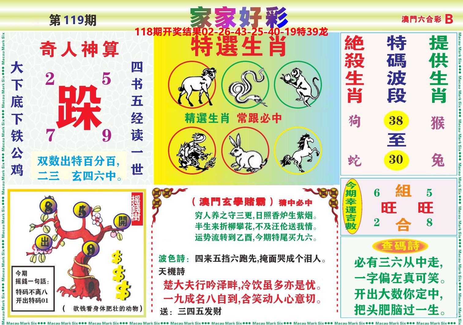 家家好彩B 第119期