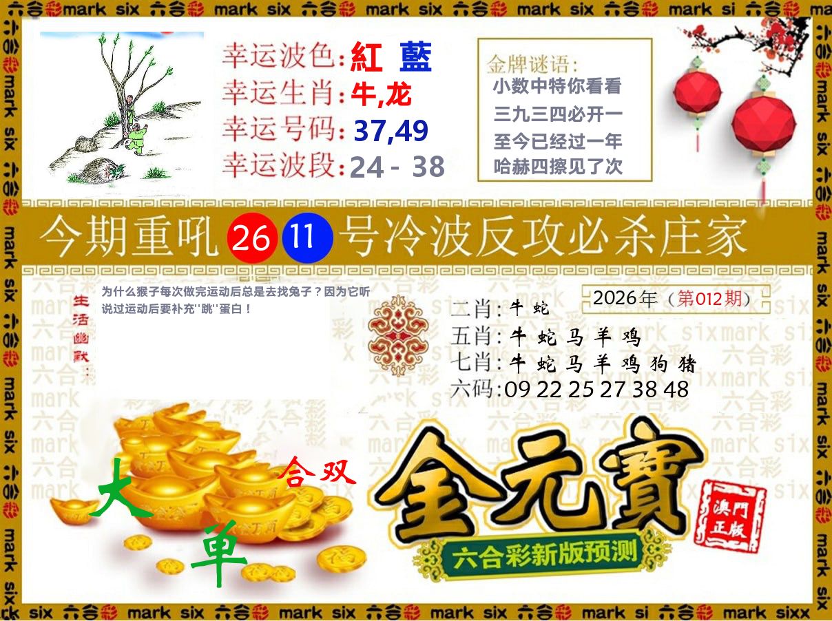 金元宝 第12期
