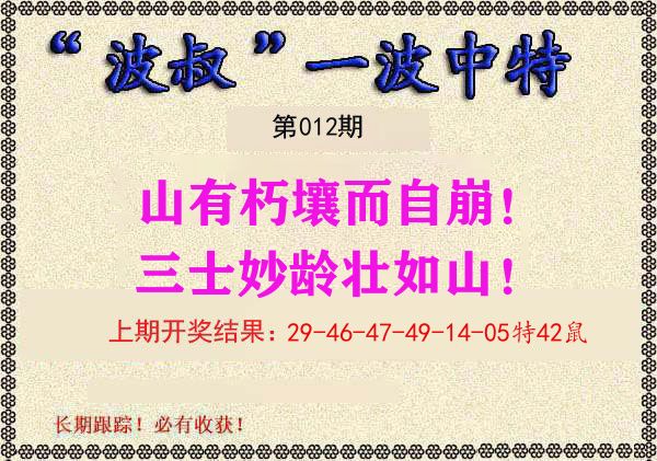 波叔中特 第12期