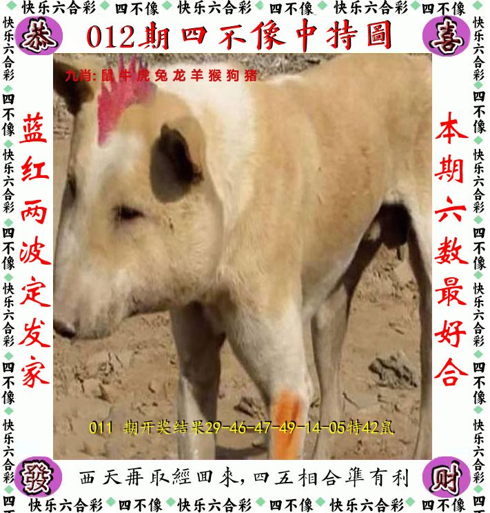 四不像 第12期