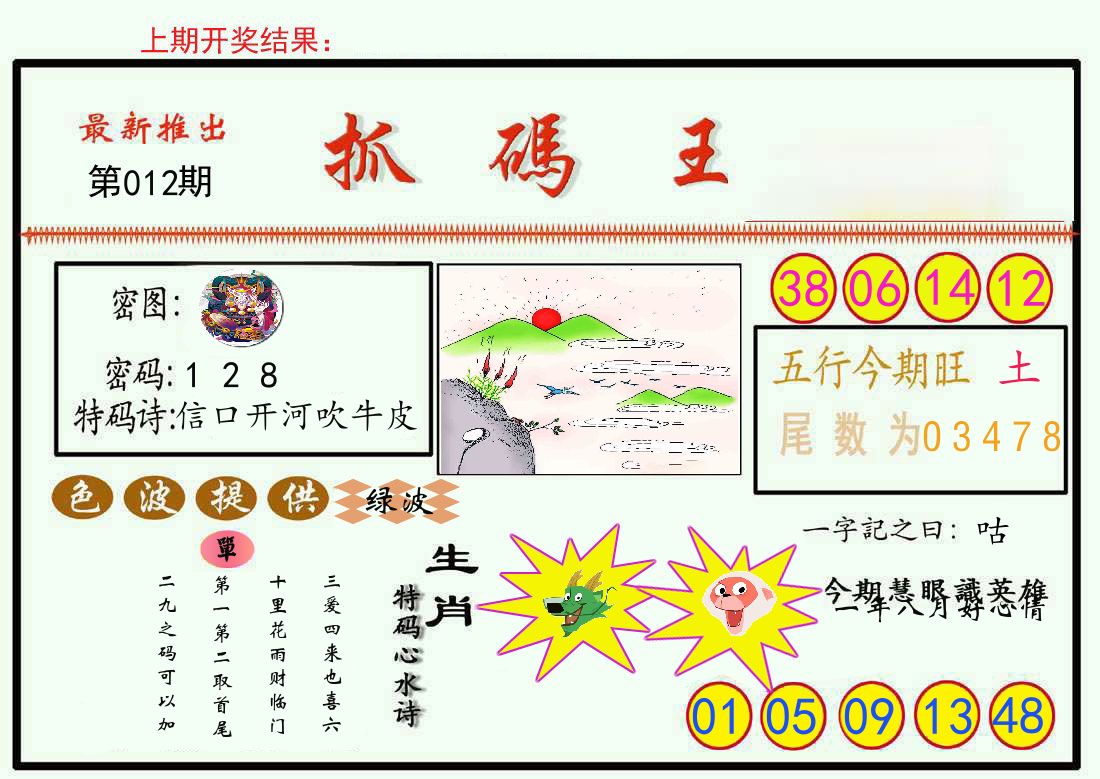 最新抓码王 第12期