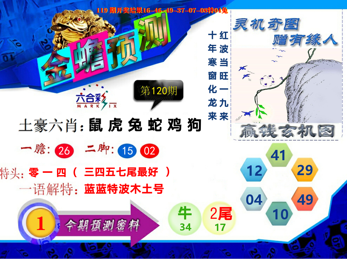 金蟾预测 第120期
