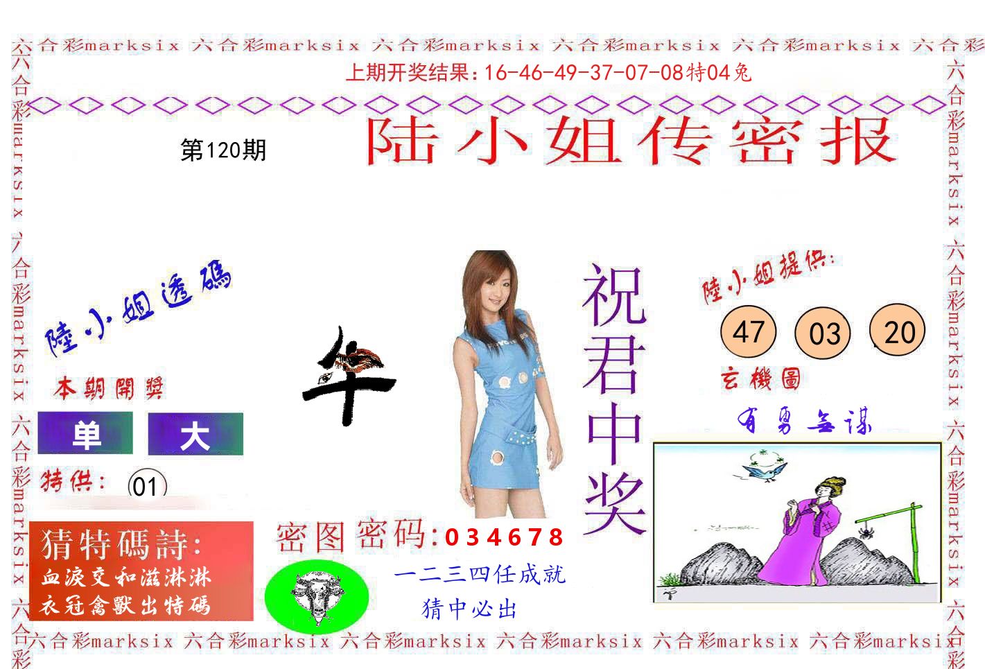 陆小姐密报 第120期