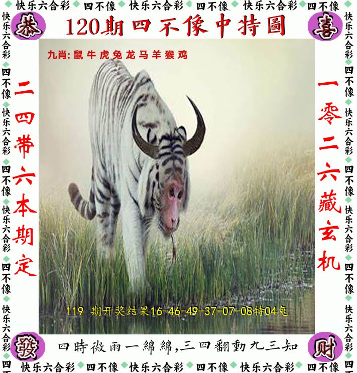 四不像 第120期