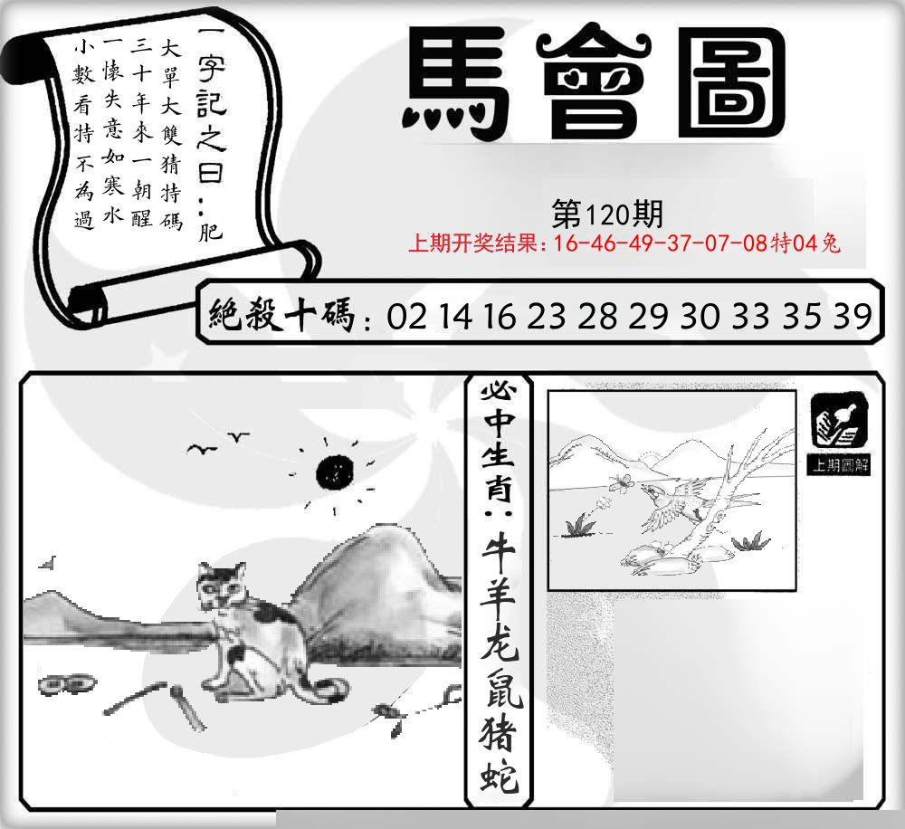 马会图 第120期