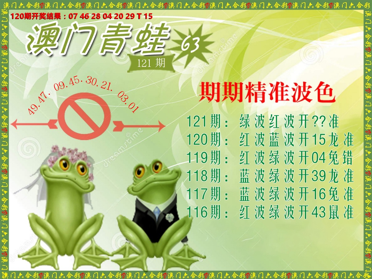 青蛙系列63 第121期