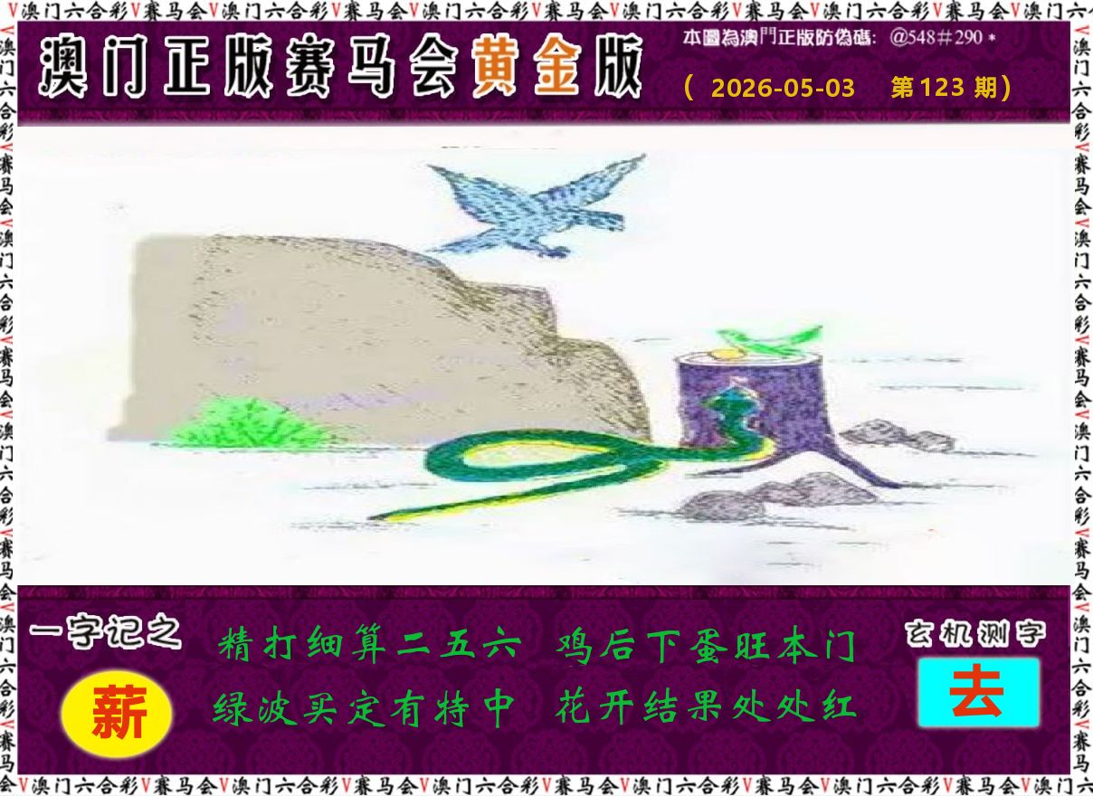 赛马会黄金版 第123期