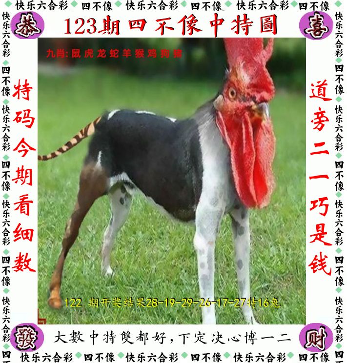 四不像 第123期