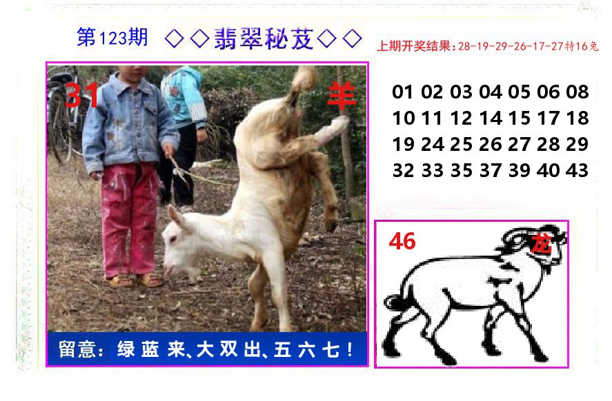 翡翠秘芨 第123期