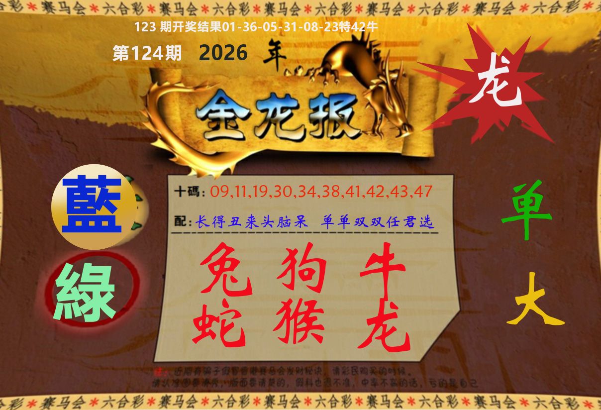 金龙报 第124期