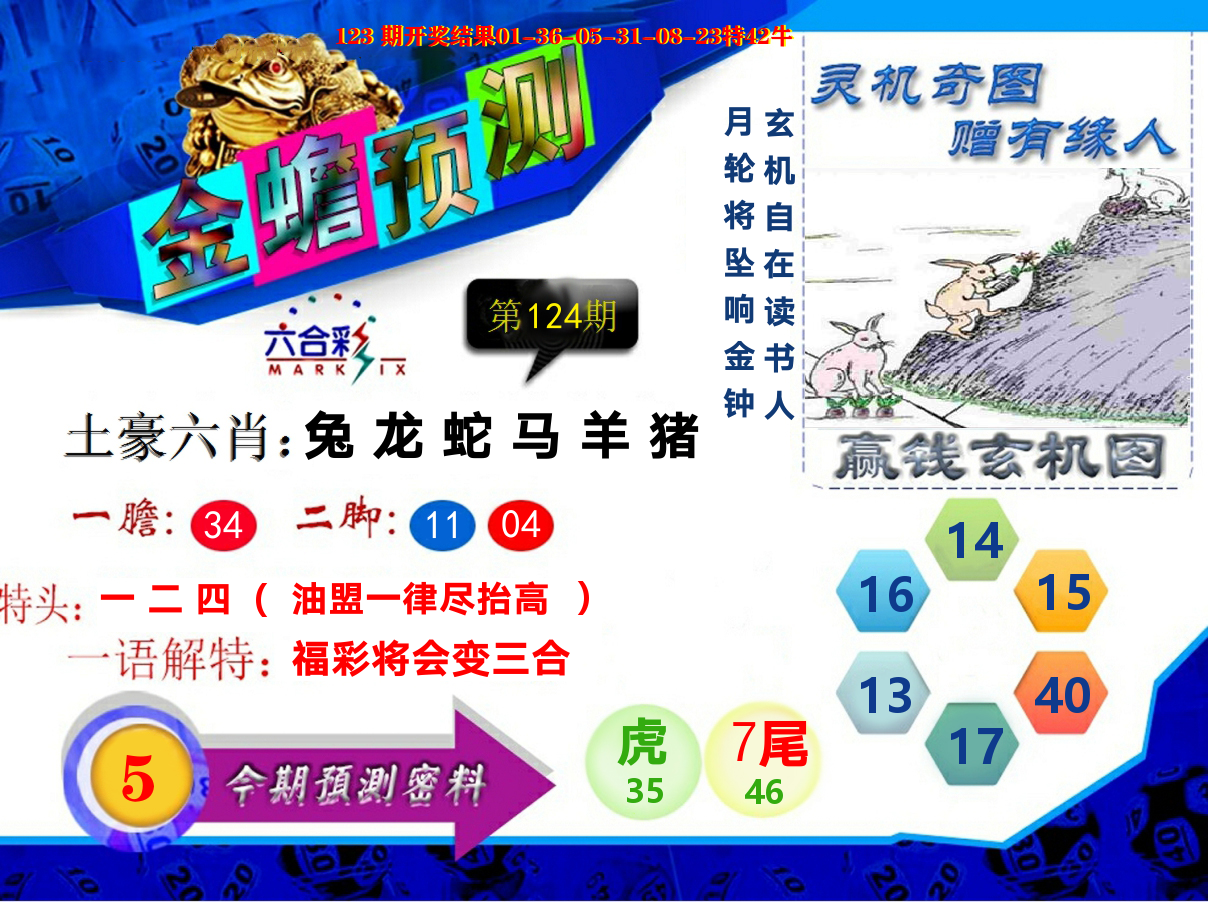 金蟾预测 第124期