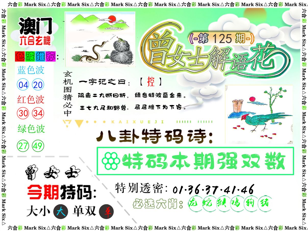 曾女士解语花 第125期