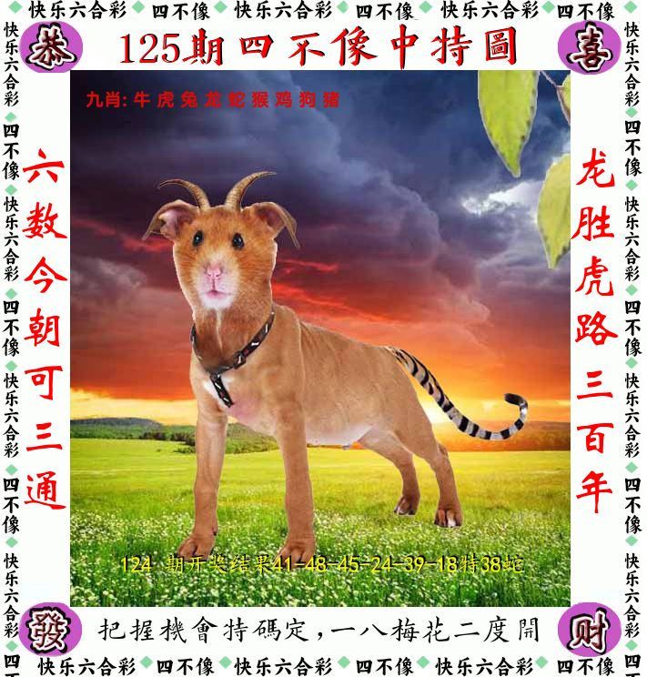 四不像 第125期