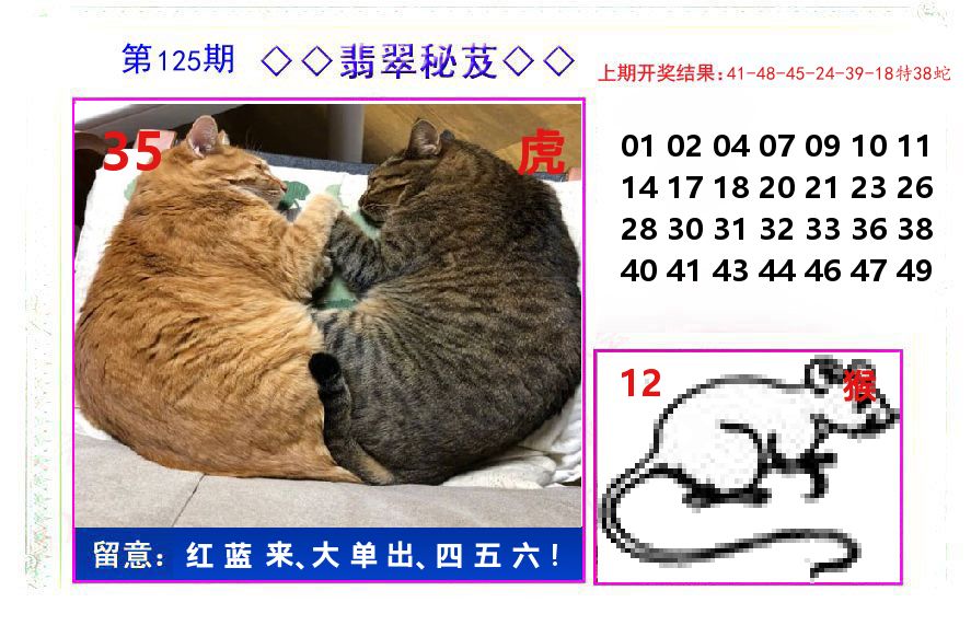 翡翠秘芨 第125期