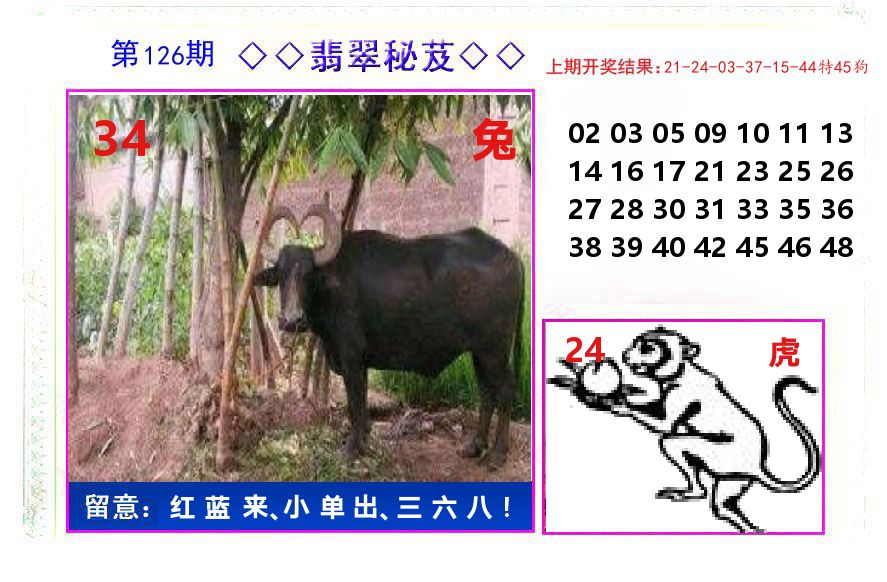 翡翠秘芨 第126期