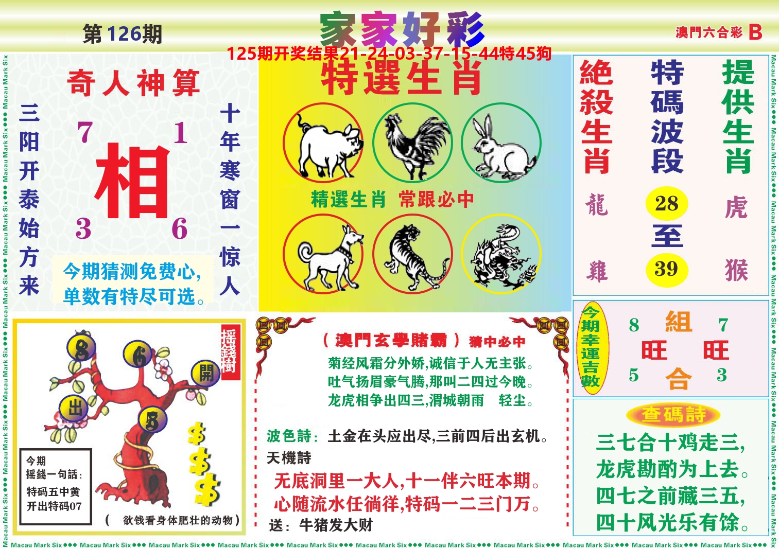 家家好彩B 第126期
