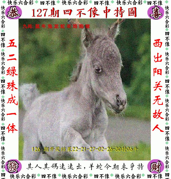 四不像 第127期
