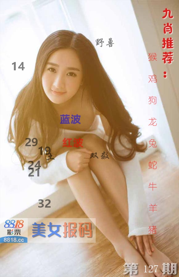 美女报码 第127期