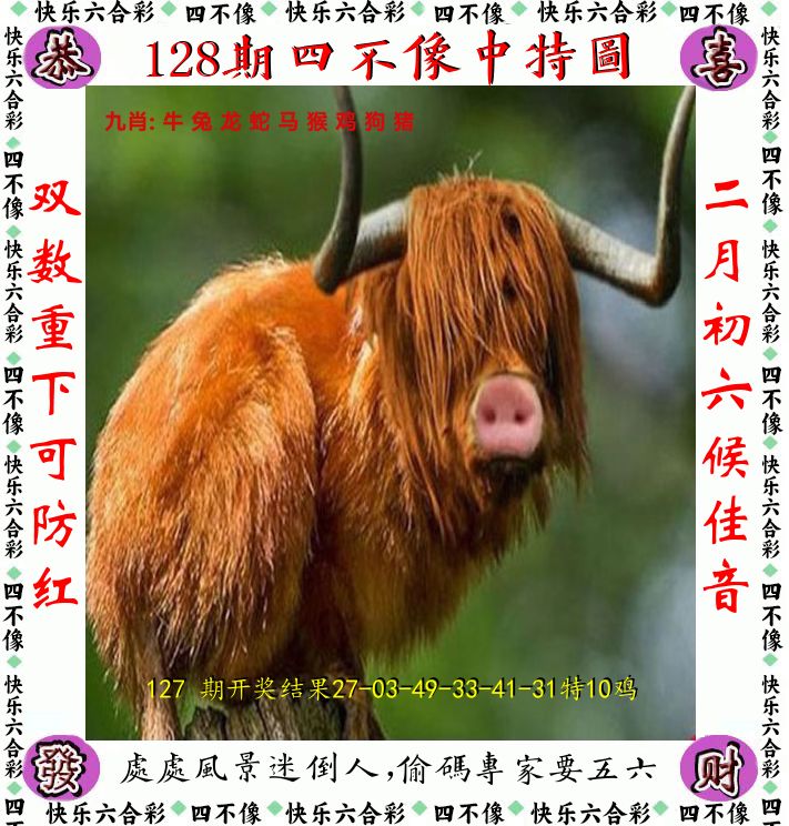 四不像 第128期