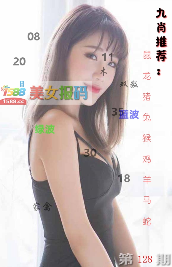 美女报码 第128期