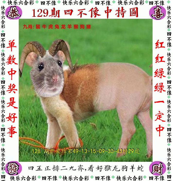 四不像 第129期
