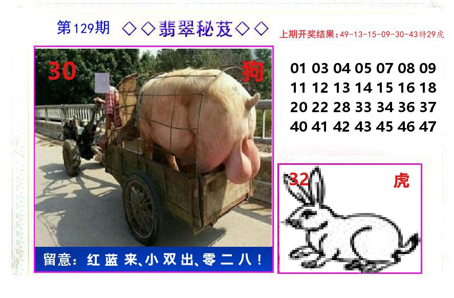 翡翠秘芨 第129期
