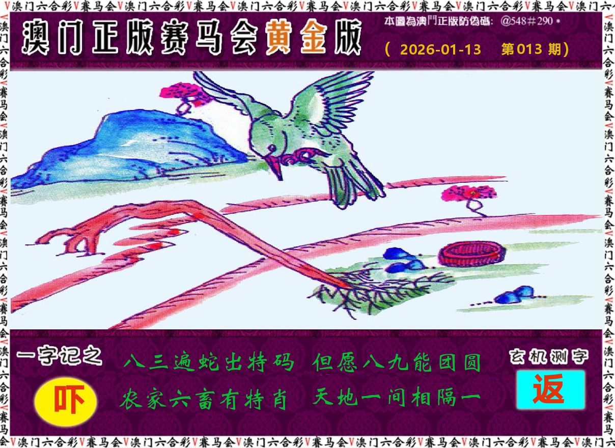赛马会黄金版 第13期
