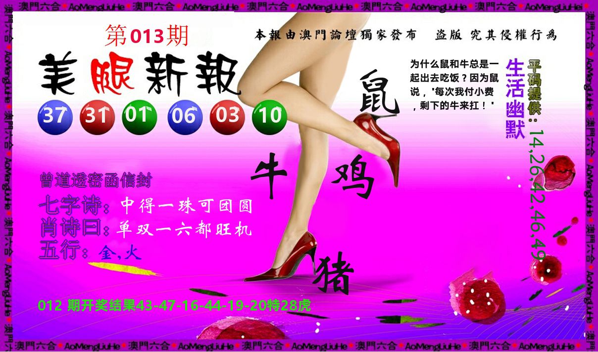 美腿新报 第13期