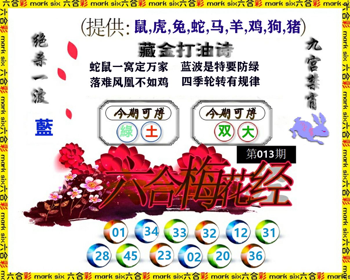 六合梅花经 第13期