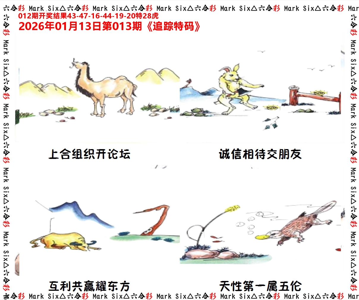 追踪特码 第13期