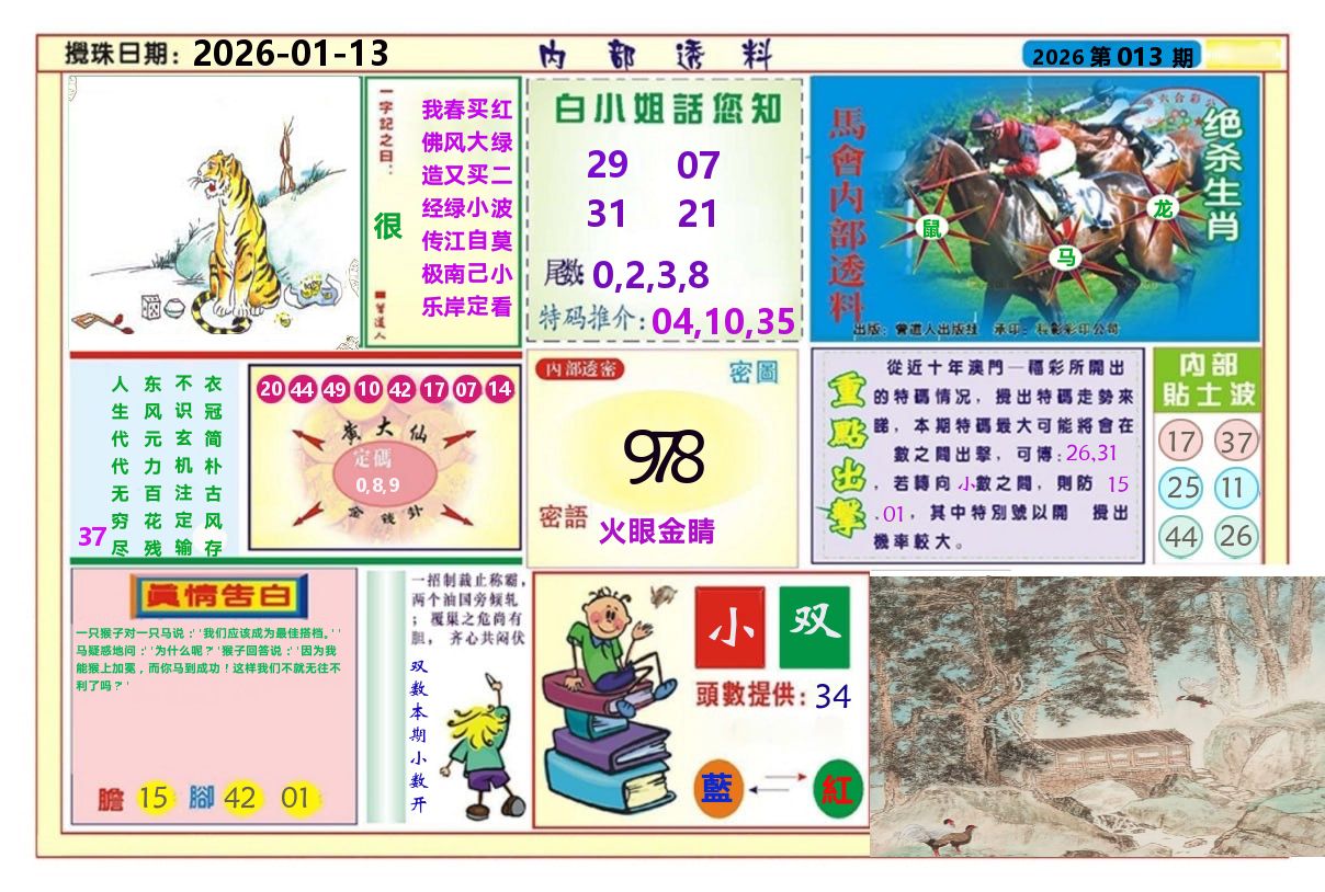 澳门内部透料A 第13期