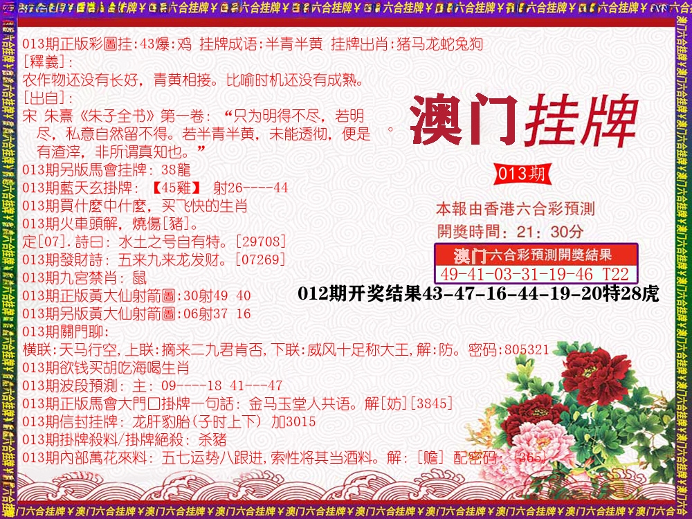 澳门挂牌 第13期