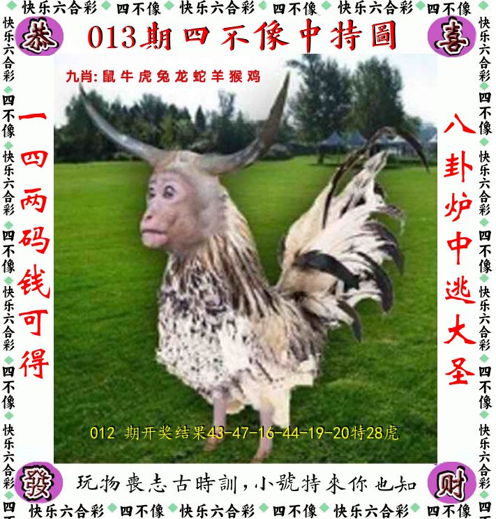 四不像 第13期