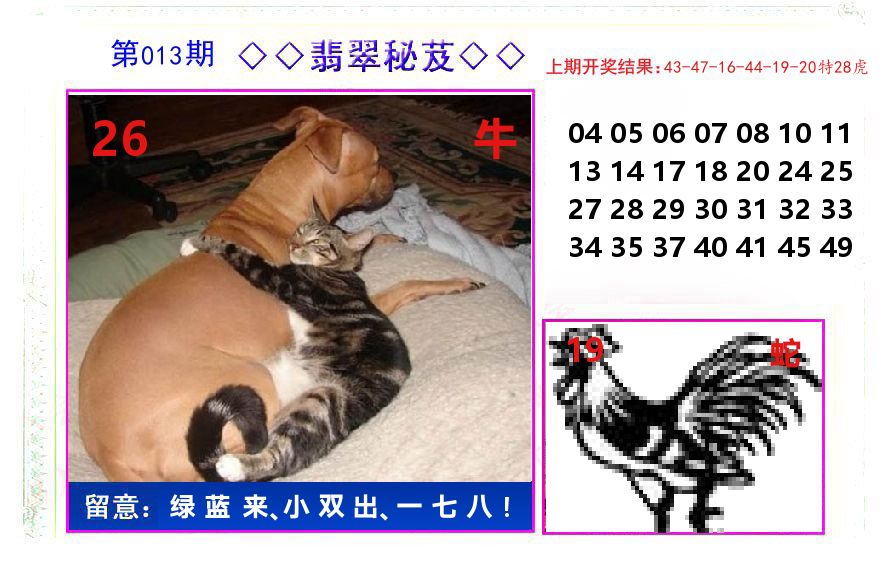 翡翠秘芨 第13期