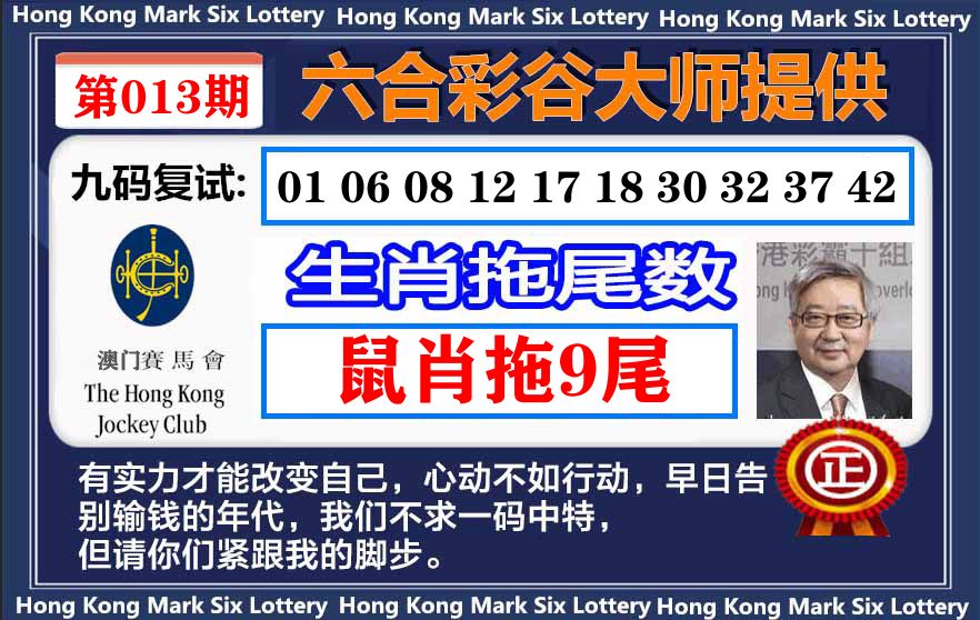 谷大师九码复式 第13期
