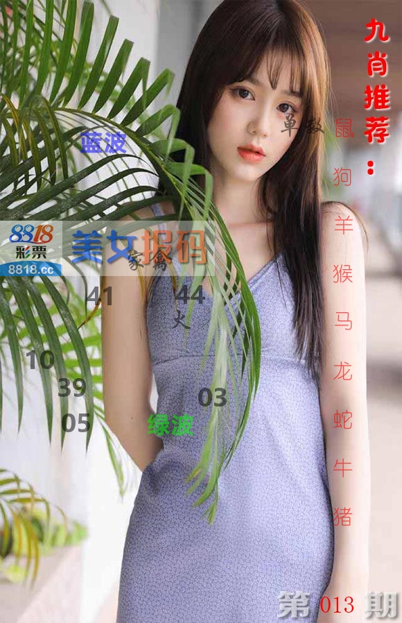 美女报码 第13期