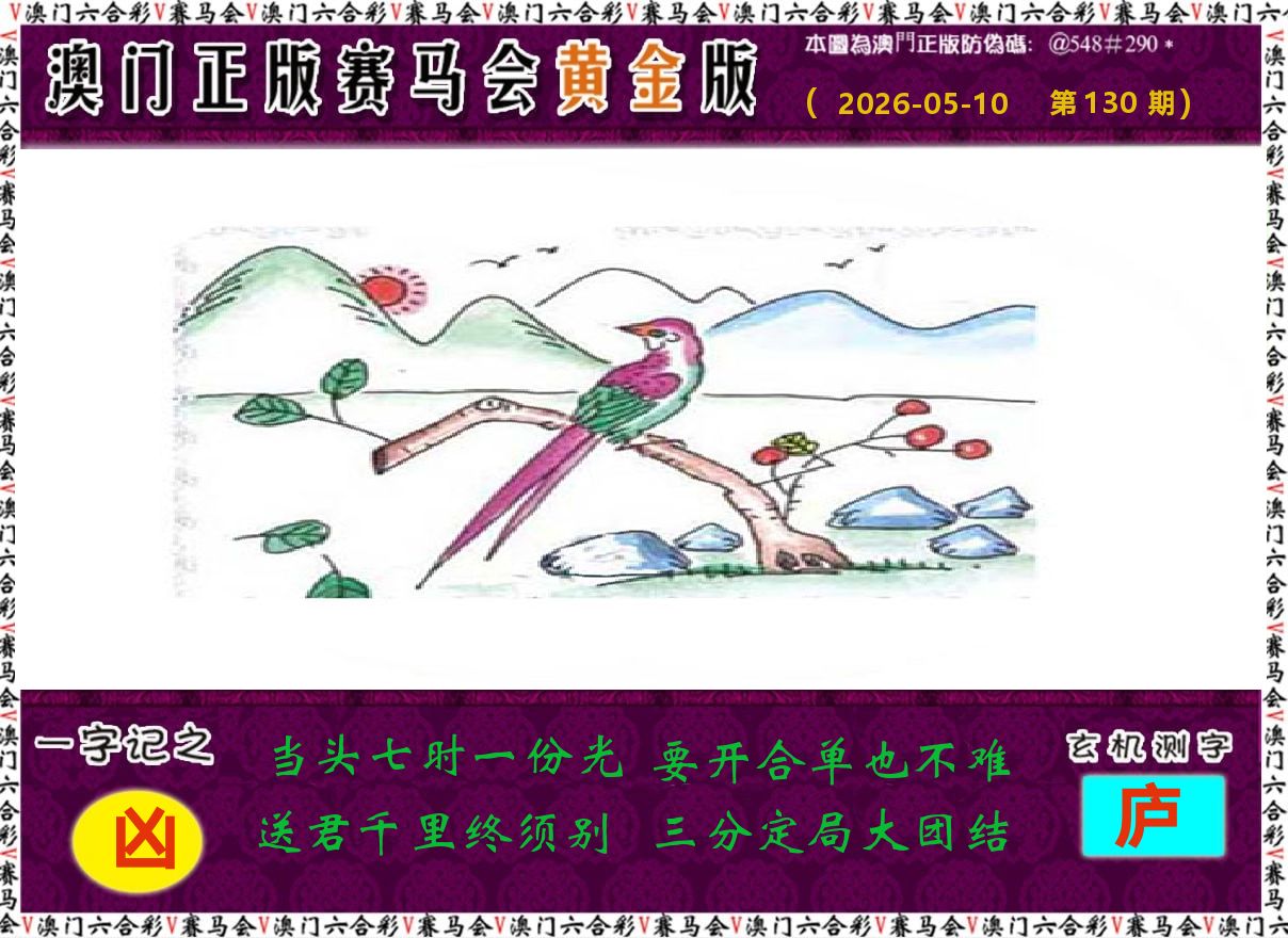 赛马会黄金版 第130期