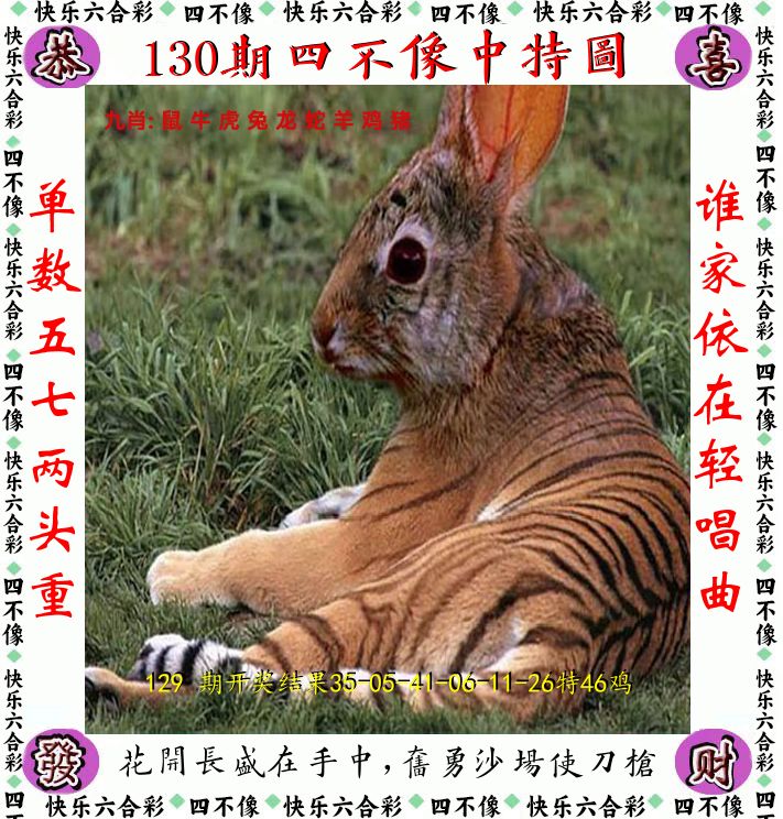 四不像 第130期